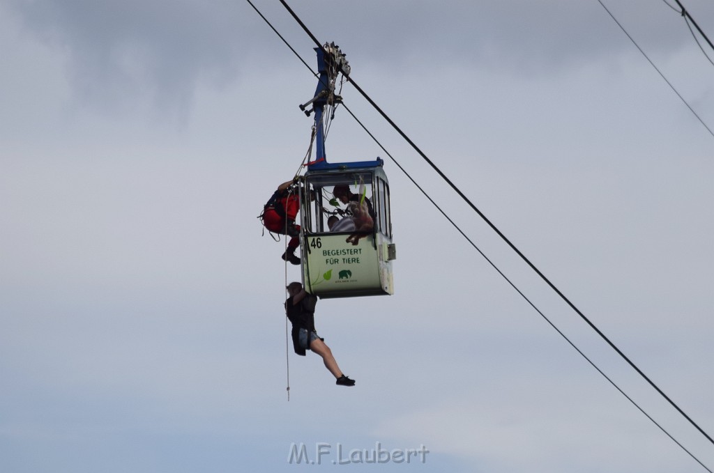 Koelner Seilbahn Gondel blieb haengen Koeln Linksrheinisch P614.JPG - Miklos Laubert